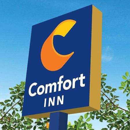 Comfort Inn Martinsville Extérieur photo